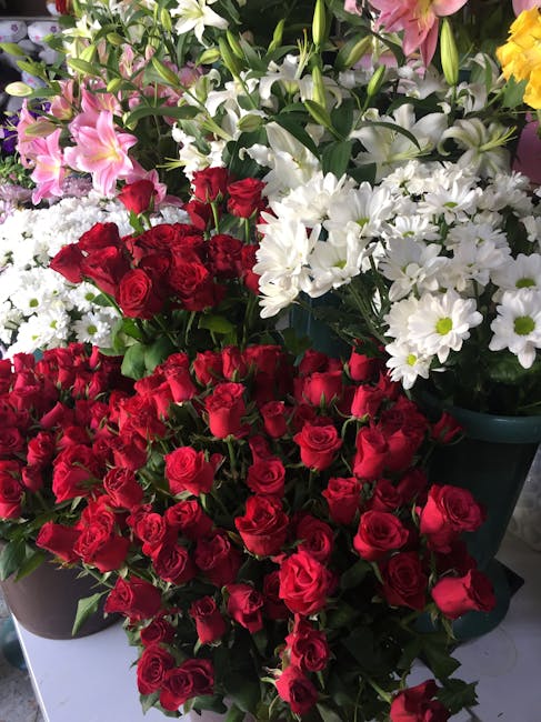 A vibrant display of fresh floral arrangements featuring clusters of deep red roses with tightly packed petals, complemented by white daisies with yellow centers and light pink lilies with delicate, r
