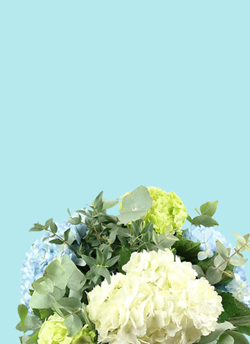 Same day Flowers Croydon